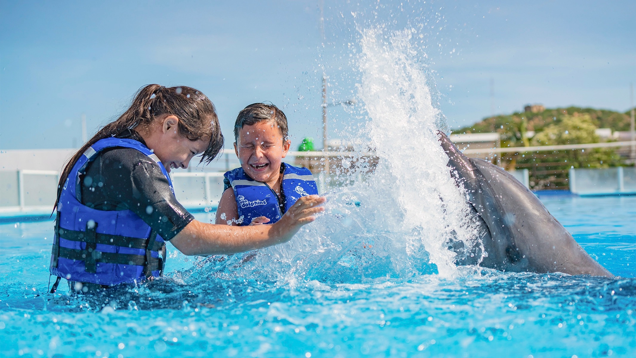 Guests interacting with a dolphin in Cabo